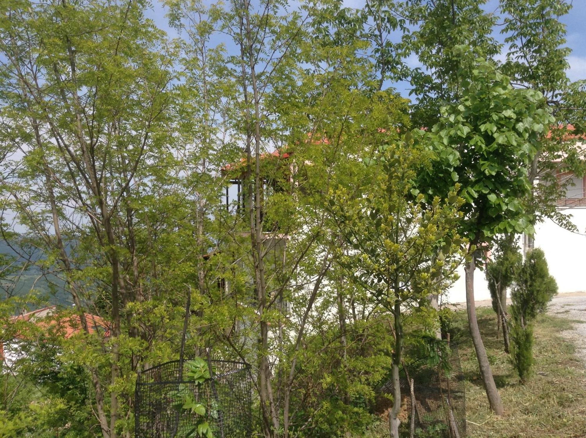 Πανδοχείο Λίμνης Πλαστήρα Hotel Kastanéa Exterior foto