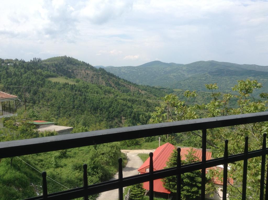 Πανδοχείο Λίμνης Πλαστήρα Hotel Kastanéa Quarto foto